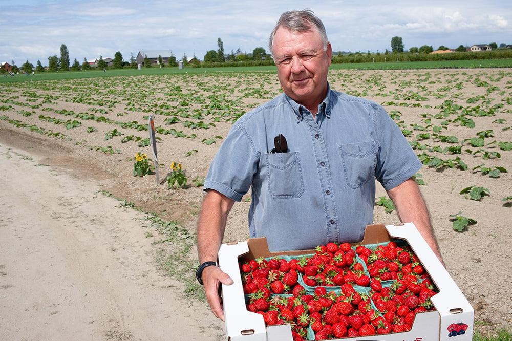 Reeling in Workers’ Compensation Costs for a Berry Crop Producer